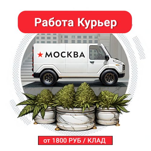 ТВОЯ МОСКВА