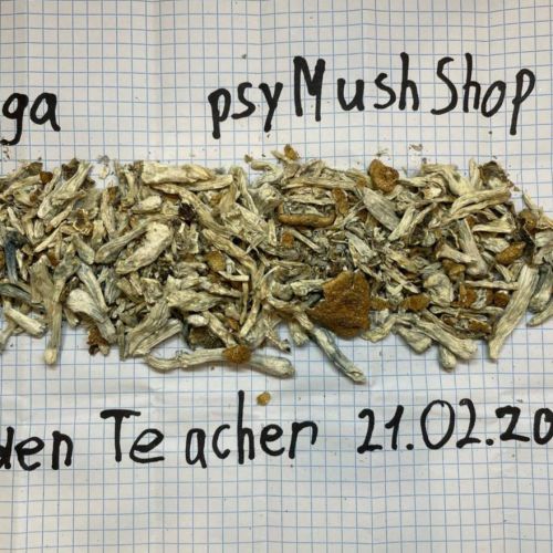 psyMushShop